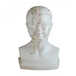 مولاژ طب سوزنی سر بزرگ