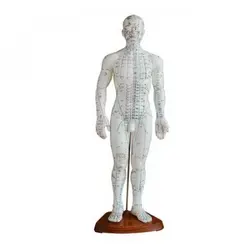 مولاژ طب سوزنی مرد