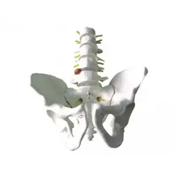 مولاژ لگن با 5 مهره