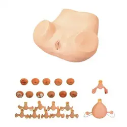 مولاژ معاینات ژنکولوژیک