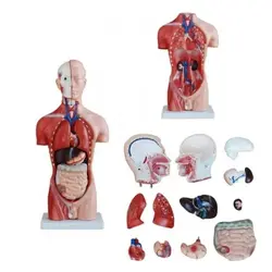 مولاژ نیم تنه 13 قسمتی