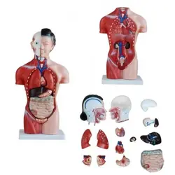 مولاژ نیم تنه 15 قسمتی زن