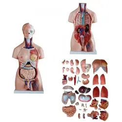 مولاژ نیم تنه 40 قسمتی