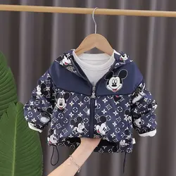 بارونی لاینردار میکی موس