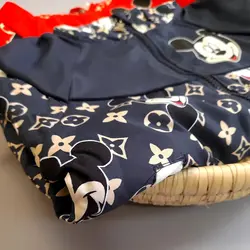 بارونی لاینردار میکی موس