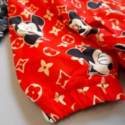 بارونی لاینردار میکی موس