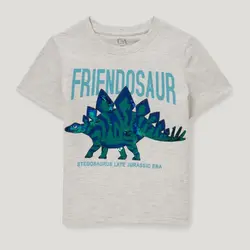 تی شرت آستین کوتاه پسرانه سی اند ای مدل دایناسور پولکی