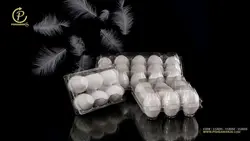 شانه تخم مرغ 15 خانه  – آذران ورق  (کارتن 300 عددی)