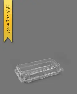 لانچ باکس بزرگ – به ظرف (کارتن 250 عددی)