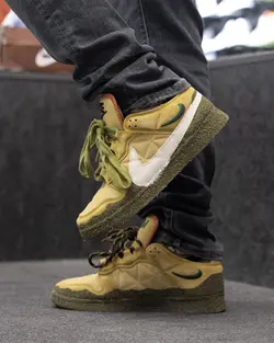 کتونی نایک دانک کاکتوس پلنت