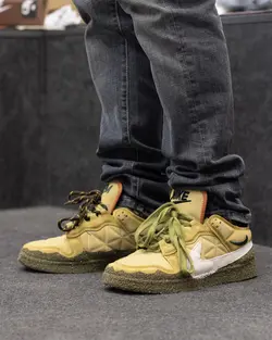 کتونی نایک دانک کاکتوس پلنت