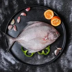 حلوا سیاه