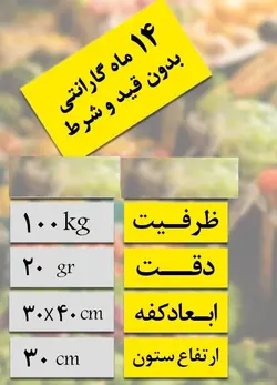 باسکول دیجیتالی تاشو  TM100 پیام توزین