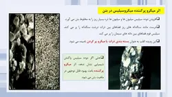 استفاده از میکروسیلیس در بتن ( نه فایل )