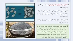 استفاده از میکروسیلیس در بتن ( نه فایل )