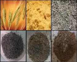 خاکستر غلاف گندم در بتن