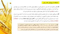 خاکستر غلاف گندم در بتن