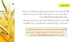 خاکستر غلاف گندم در بتن