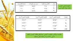 خاکستر غلاف گندم در بتن