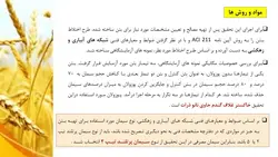 خاکستر غلاف گندم در بتن