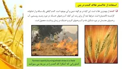 خاکستر غلاف گندم در بتن