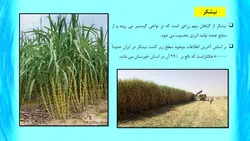 استفاده از خاکستر باگاس در بتن ( 19 فایل )