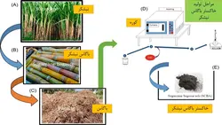 استفاده از خاکستر باگاس در بتن ( 19 فایل )