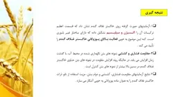 بررسی جامع 20 مقاله در مورد بتن سبز و بتن های بازیافتی ( 700 اسلاید !!!)