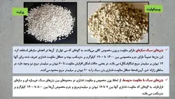 بتن های سبک Light Weight Concrete