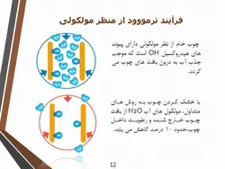 ترمووود ( چوب ترمو )