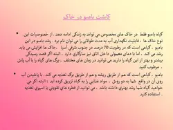 آشنایی با انواع گل ها و گیاهان آپارتمانی