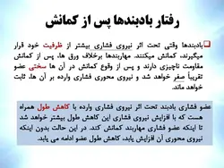 مهاربندهای همگرا یا هم مرکز CBF