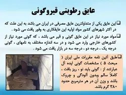 عایق های رطوبتی ( دو پاورپوینت )