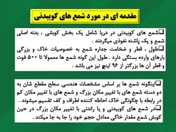 همه چیز در مورد شمع فولادی (انواع ، روش ساخت ، شمع کوبی و کنترلها) 250 اسلاید
