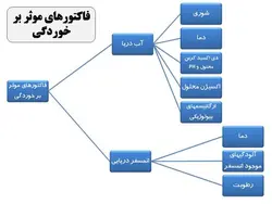 همه چیز در مورد شمع فولادی (انواع ، روش ساخت ، شمع کوبی و کنترلها) 250 اسلاید