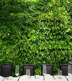 دیوار سبز ، دیوار زنده یا گرین وال Green wall