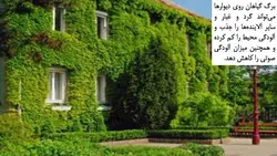 دیوار سبز ، دیوار زنده یا گرین وال Green wall