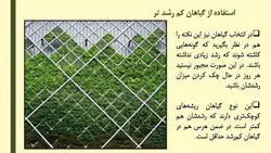 دیوار سبز ، دیوار زنده یا گرین وال Green wall