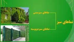 نمای سبز ، دیوار سبز یا دیوار زنده