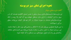 نمای سبز ، دیوار سبز یا دیوار زنده