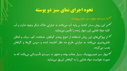 نمای سبز ، دیوار سبز یا دیوار زنده