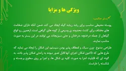 نمای سبز ، دیوار سبز یا دیوار زنده