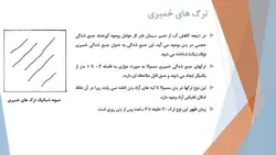 همه چیز در مورد ترک بتن ، روشهای شناسایی و تعمیر آن ( چهار پاورپوینت )