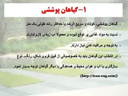 معرفی کاربردی برخی گیاهان در منظر