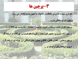 معرفی کاربردی برخی گیاهان در منظر