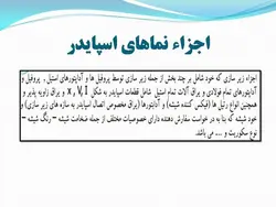 نمای شیشه ای اسپایدر ؛ اتصالات عنکبوتی ( دو پاورپوینت )