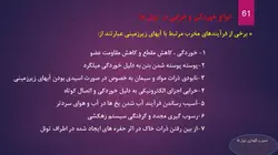 تعمیر و نگهداری تونل