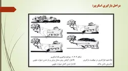 ماشین آلات راهسازی