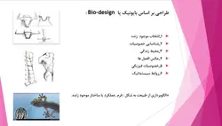 هندسه گل افتابگردان و هندسه کاربندی معماری ایرانی