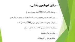 گچ پاششی
